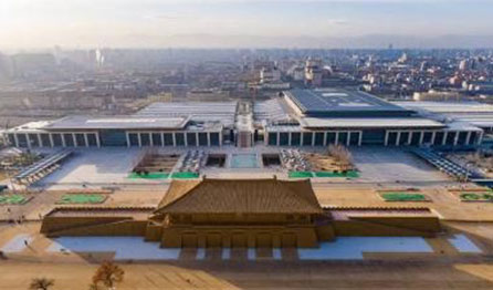 1742953196821505.jpg 12.jpg